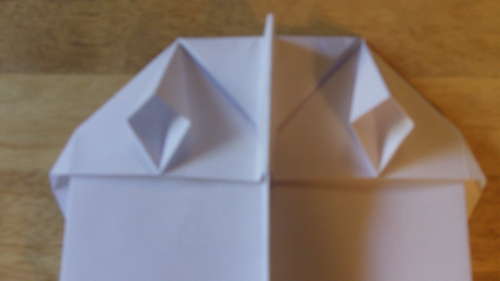 The Scorpion paper airplane is an aircraft which can be launched with two rockets, or the the simple throw. 
