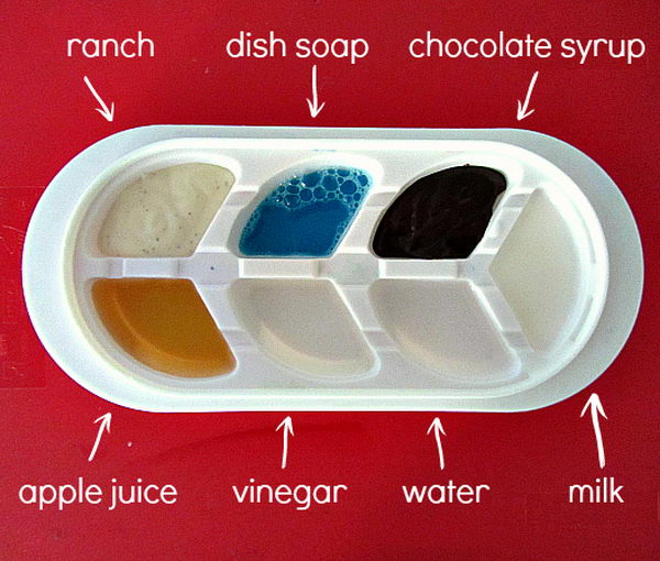 What will Freeze First Science Project for Kids. The best part about simple kitchen science for kids is that it lets your children see that science is everywhere. It’s in their kitchen and is accessible to all. 
