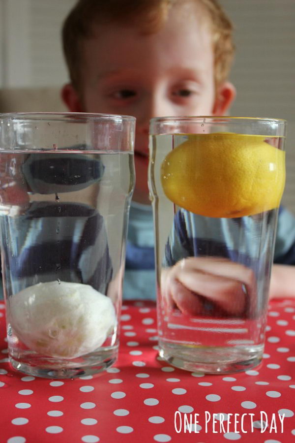 Sink or Float Lemons Science Project for Kids. The peeled lemon sank! The obvious prediction was that the peeled lemon would float since it weighed less than the lemon with the rind still on. The lemon rind acts like a life jacket – the rind is filled with air bubbles that keep the lemon afloat. 
