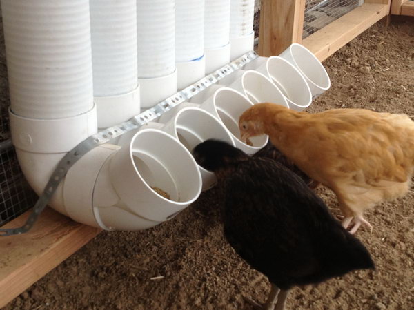 DIY PVC Pipe Chicken Feeder. A great idea to prevent chickens scooping the feed out of the feeder. 