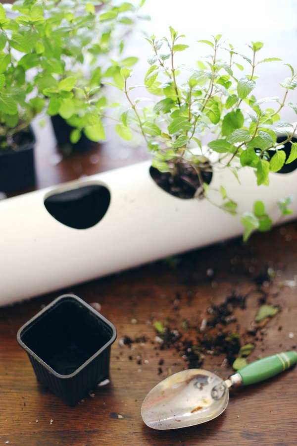 Make a floating PVC planter for growing herbs in your house. 