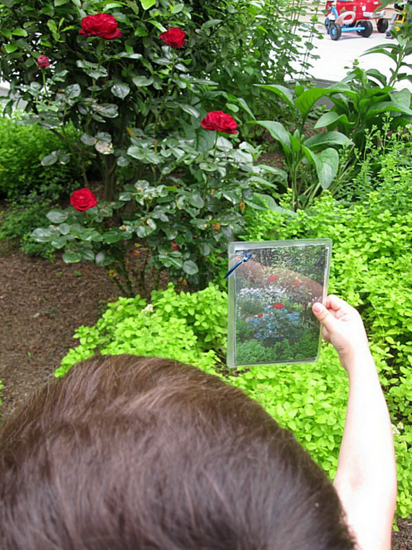 Backyard Photo Scavenger Hunt. Take pictures of things all around your yard, print them out, add the ring to collect all the photos. Ask your kids to study the photos and go hunting. Your kid must enjoy this funny game. 