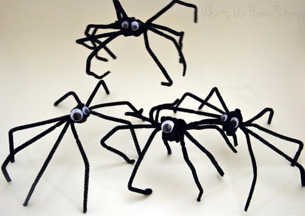 19 pipe cleaner spiders 