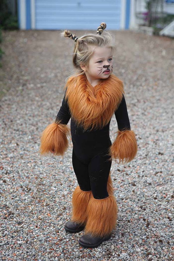 Faux Fur Lion Costum. 