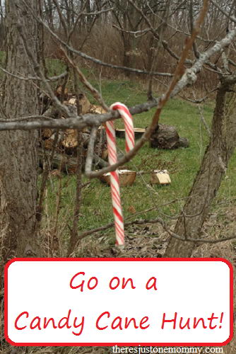 Why Leave The Fun Of Hunting Prizes To The Easter Egg Hunt? Hold Your Very Own Candy Cane Hunt With The Kids This Winter And Let The Magic Begin!. 