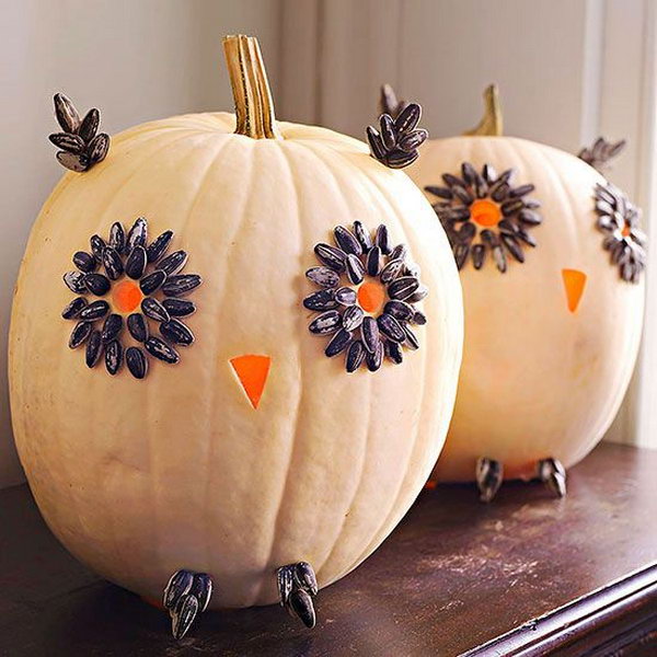 Easy Carved Owl Pumpkins for Halloween . 