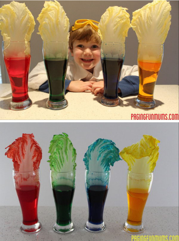 Fun & Creative Science Experiments for Kids