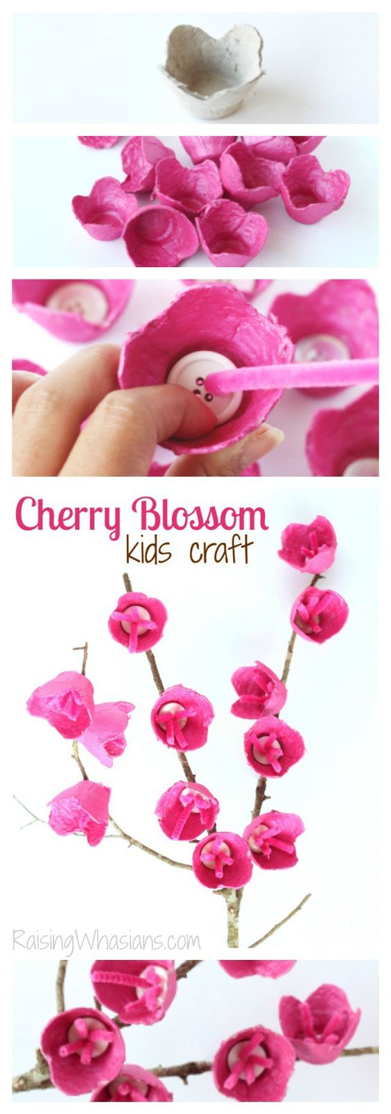 Upcycle Old Egg Cartons into Cherry Blossom Craft for Kids. 